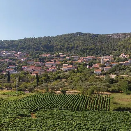 Viola Villa *
