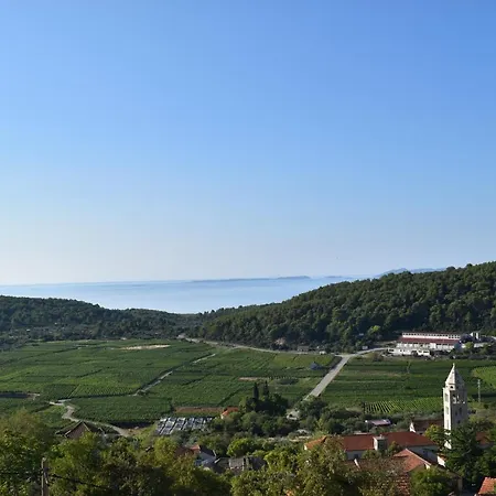 Viola فيلة Čara