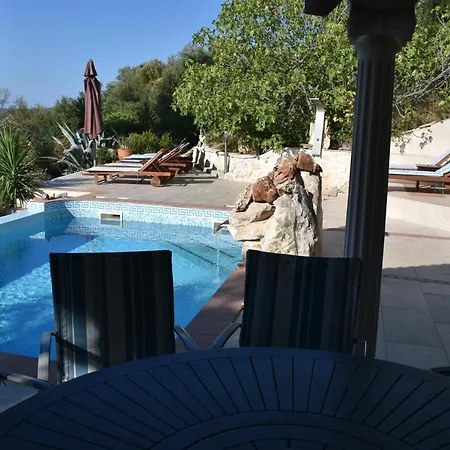 Viola فيلة *