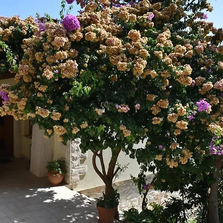 Viola Villa