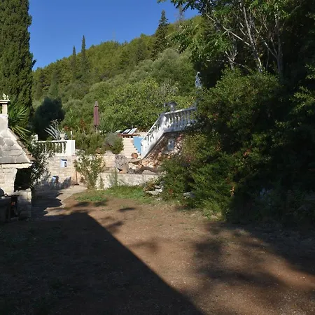 Viola Villa *